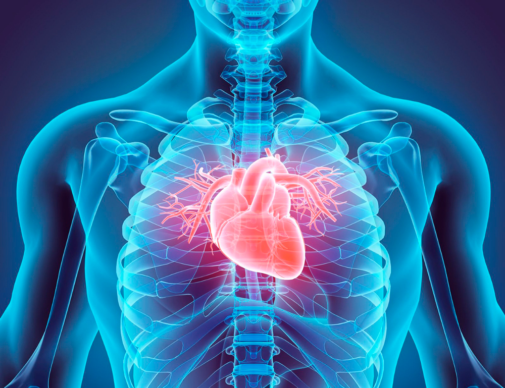 Cardiologie